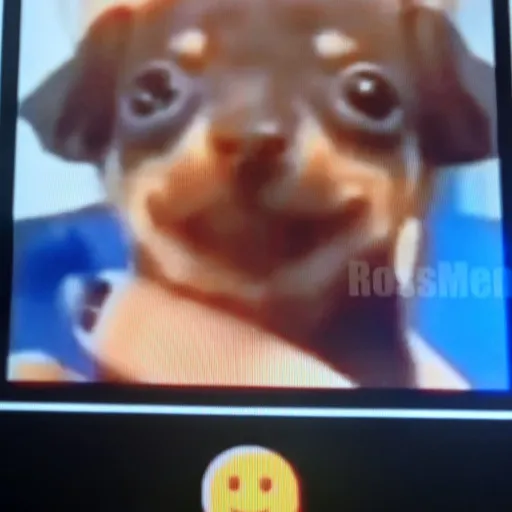 creator big_smile.com's avatar
