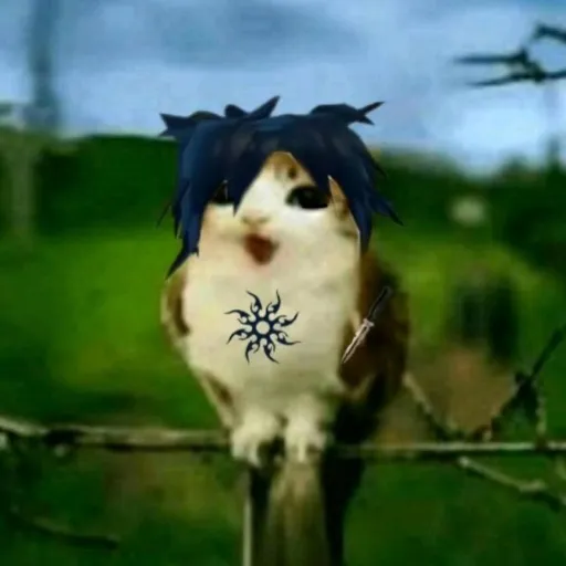 creator SHAKIRA!'s avatar