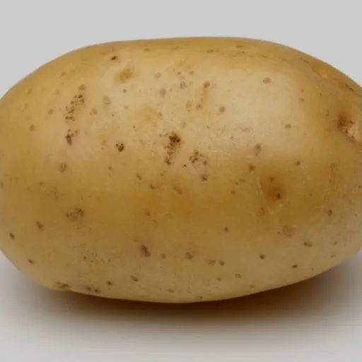 creator the potato guy's avatar