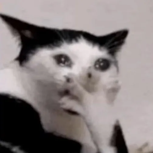creator ugly ass cat's avatar