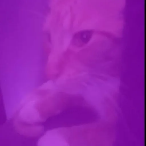 creator UrLocalStoryTeller's avatar