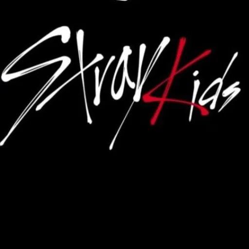 creator ||stray kids||'s avatar