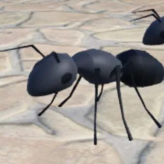creator Antling's avatar
