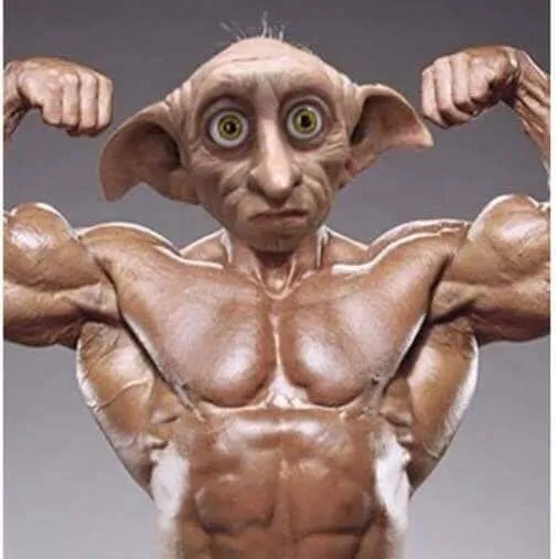 creator ᰔᩚdobby ᰔᩚ's avatar