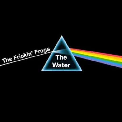 creator the gay frogs's avatar