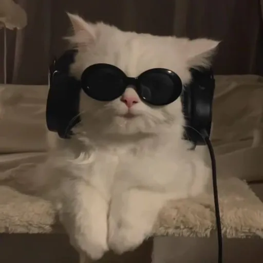creator Lun1xi4's avatar