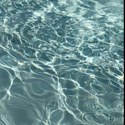 creator ~|Water|~'s avatar