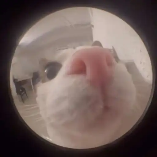 creator iminsane1703's avatar