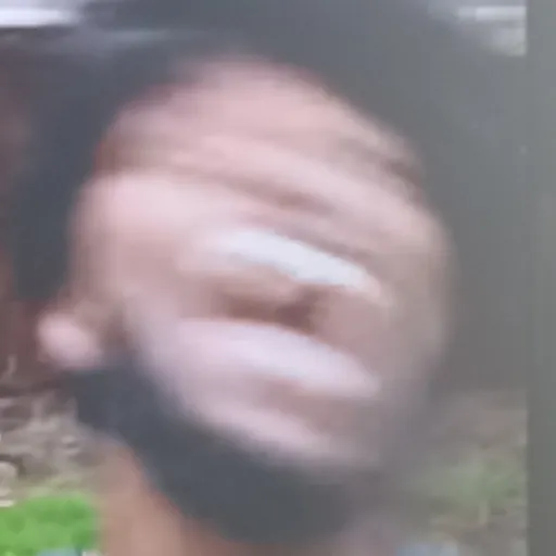 creator recoveringdegenert's avatar