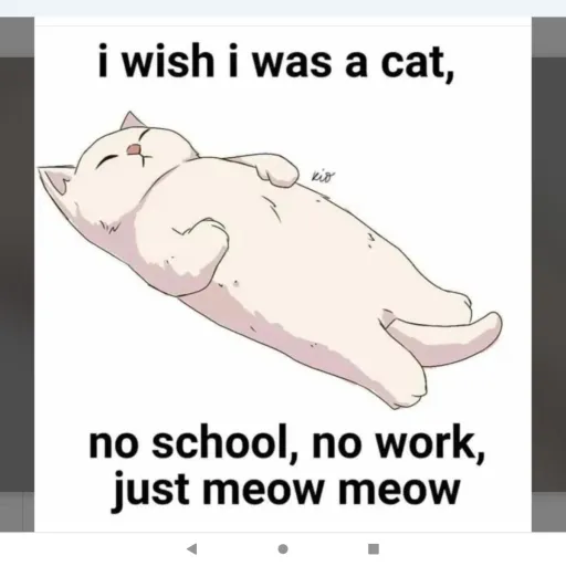 creator CatQueen64's avatar