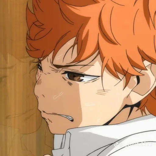 creator shoyo haikyu's avatar