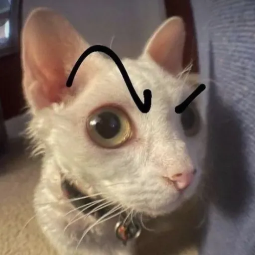 creator GoofyWarning!'s avatar