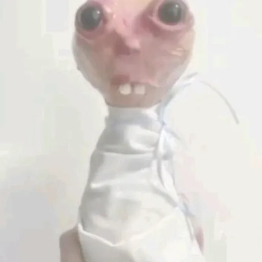 creator baby jason's avatar