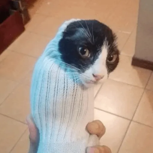 creator gigglesh!tter's avatar