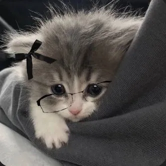 creator qxxtiˎˊ˗𓇢𓆸's avatar