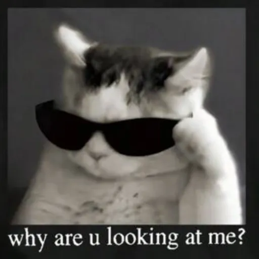 creator SukiTheCrazyBride's avatar