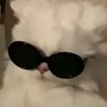 creator Cutecat_67's avatar