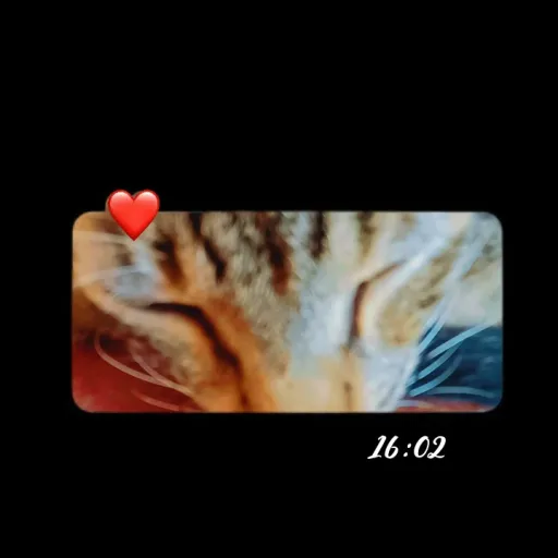 creator kgdrop's avatar