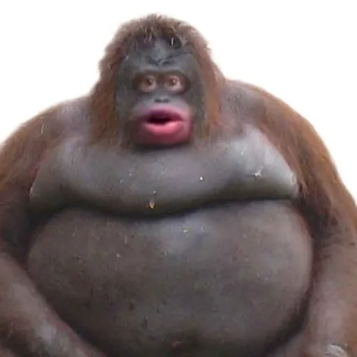 creator BIGBACK132's avatar