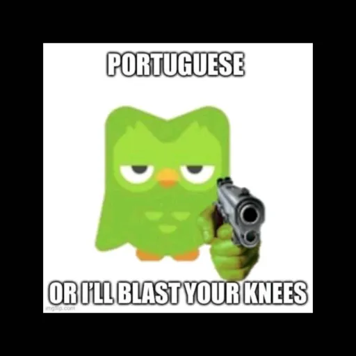 creator Duolingo not happy's avatar