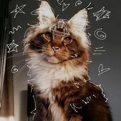 creator milky on pawz's avatar