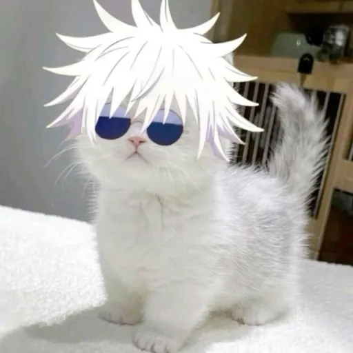 creator ▀▄▀▄ g᥆ȷ᥆ ▄▀▄▀'s avatar