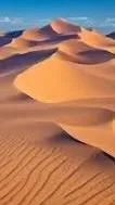 ai character: Lost in the desert background