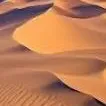chat with ai character: Lost in the desert