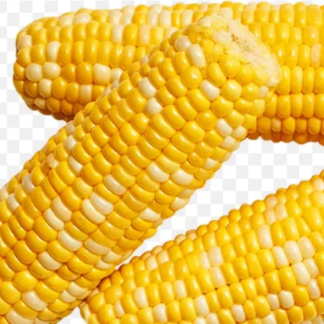 creator imjustcorn's avatar