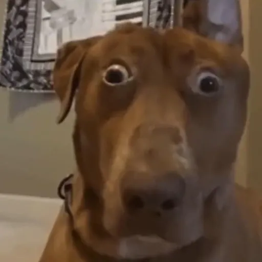 creator BIGcat's avatar