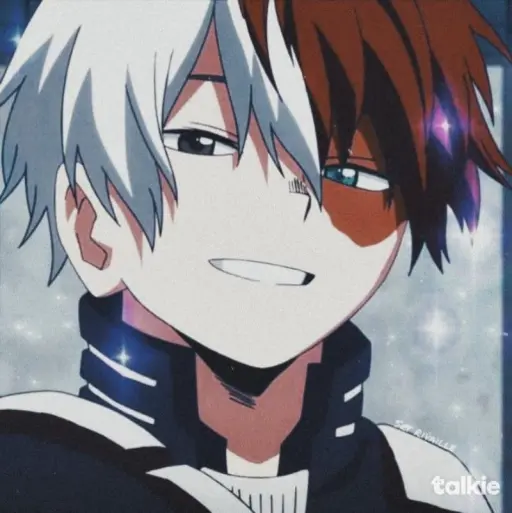 creator 🔥shoto simp❄️'s avatar