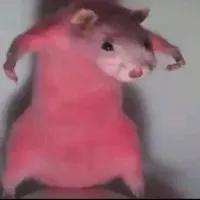 creator RafaelRat's avatar