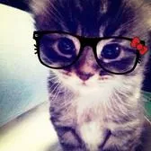 creator ruby._3.acc.x0's avatar