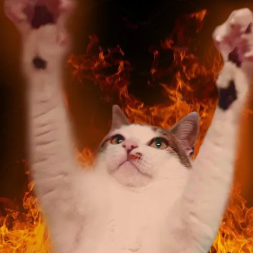 creator Carson_does_arson's avatar