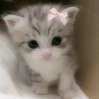 creator 🎀~Kitten~🎀's avatar
