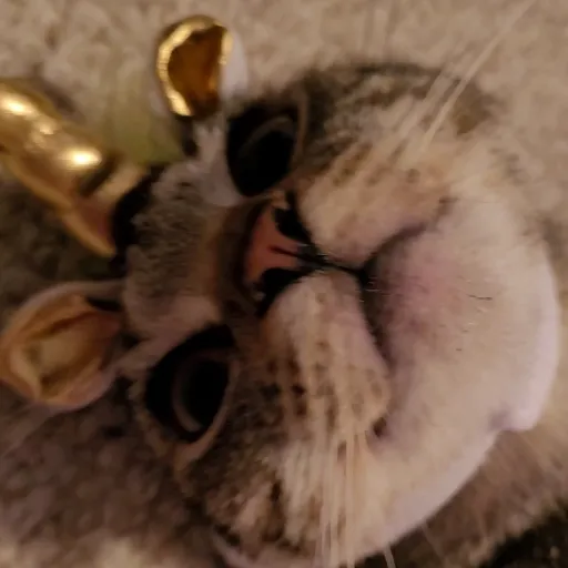 creator 油圧式ビーンバッグ's avatar