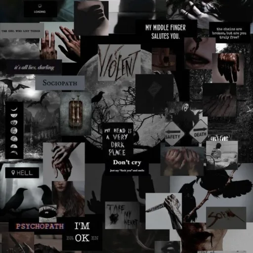 creator F.Y's avatar