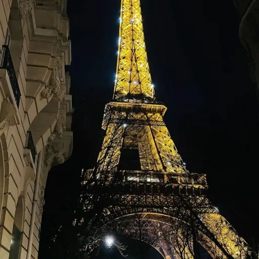 creator M|M| 🦢's avatar