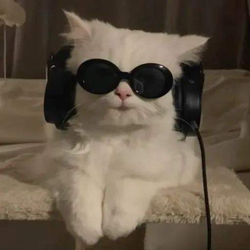 creator annm4lf's avatar