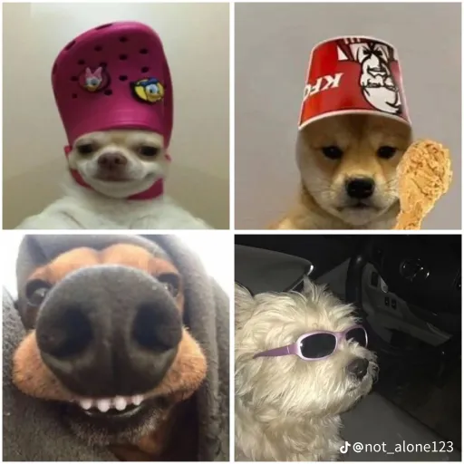 comment user avatar