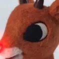 chat with ai character: Rudolph🦌