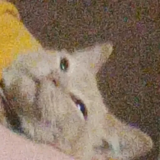 creator chaoscordmonitor's avatar