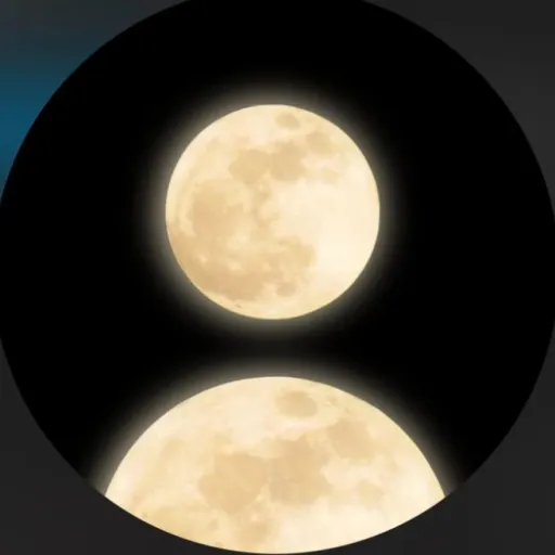 creator 2Olivia 🌖's avatar