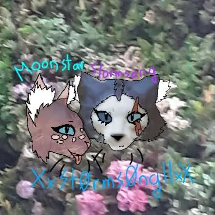 creator Stormsong11's avatar