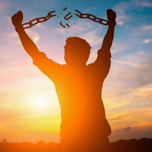 creator Verminlockd's avatar