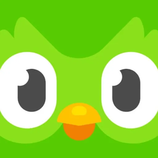 creator ×° Duolingo °×'s avatar