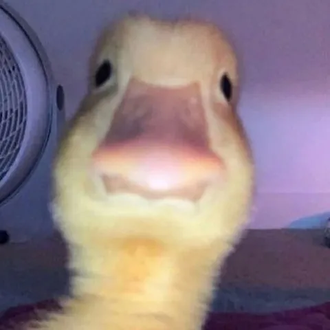 creator lil_wrath's avatar