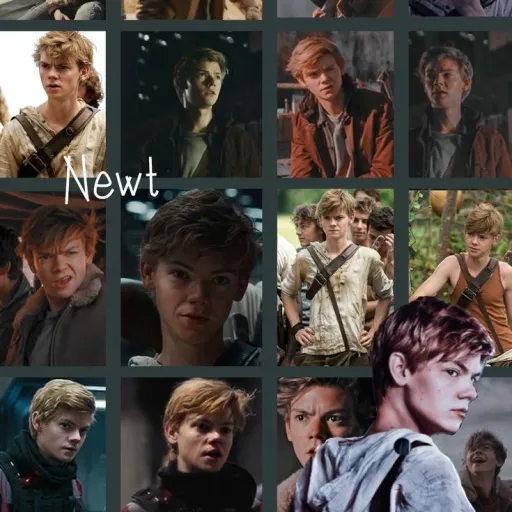 creator 영원/Newt's avatar