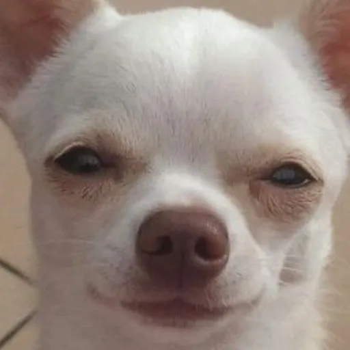 creator Rabies the second's avatar
