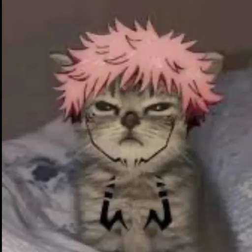 creator coolsude's avatar